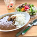 【ふるさと納税】ジビエカレー2人分　【 惣菜 洋食 レトルトカレー 鹿肉 猪肉 湯煎調理 温めるだけ ランチ お昼ご飯 夕飯 ジビエ料理 】