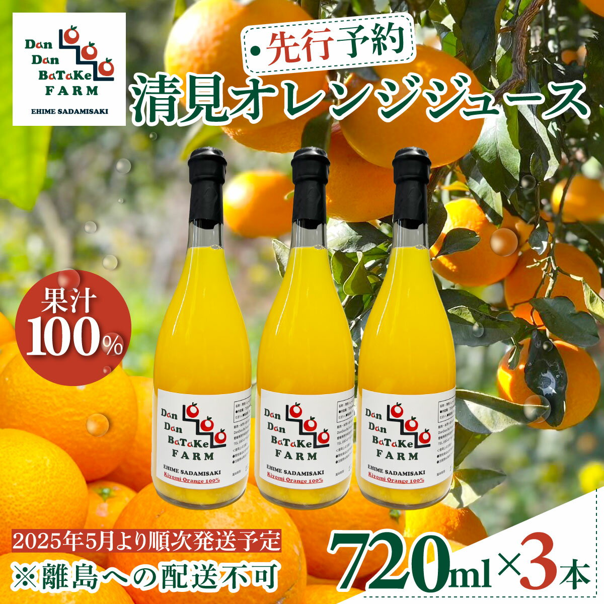 【ふるさと納税】【先行予約】清見オレンジジュース 720ml×3本 ※離島への配送不可（2025年5月より順次発送予定） 【 ふるさと納税 人気 柑橘 みかん ミカン オレンジ 清見オレンジ オレンジジュース ジュース 旬 愛媛県産 愛媛みかん 愛媛県 伊方町 送料無料 】 IKTAU013