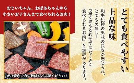 【先行受付】石垣島産 黒毛和牛 新里牛 特上カルビ２種セット(ハネシタ・三角バラ ）各200g 計400ｇ【3月中旬から4月以降に順次発送】【 牛肉 肉 特上 カルビ ハネシタ サンカクバラ ザブトン