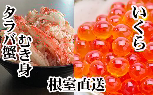 B-36050 いくら醤油漬け100g×1P・タラバガニむき身300g×1Pセット