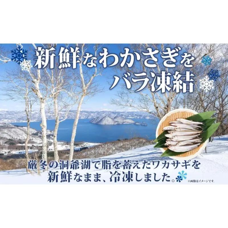 洞爺湖町産 黄金のわかさぎ 18尾×2P 計36尾 12月以降順次出荷 北海道産