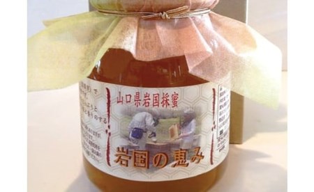 岩国の恵み（めぐみ）‘岩国市で採取した蜂蜜’【(有)ビ庵】