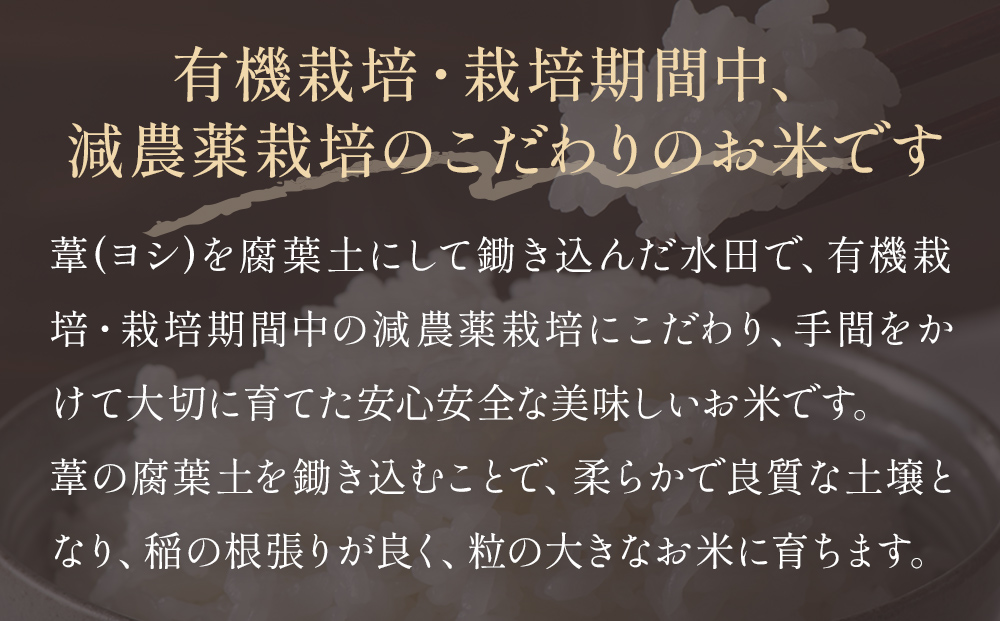 令和7年産 ササニシキ 精米 10kg（5kg×2）単品