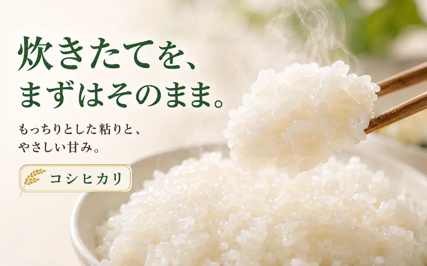 限定100件 【新米・先行予約】こしひかり 5kg 信濃町産 令和8年 精米 1等米比率9割超の信州米 2026年10月上旬発送予定 黒姫山麓 長野県信濃町