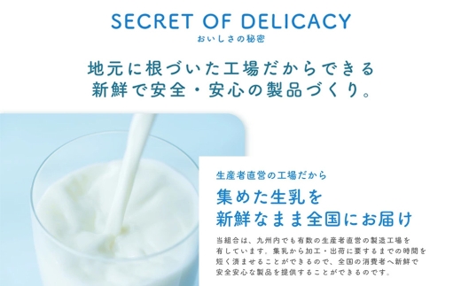 球磨の恵み ヨーグルト 砂糖不使用 1kg×6パック 乳製品 生乳 朝食 おやつ 相良村