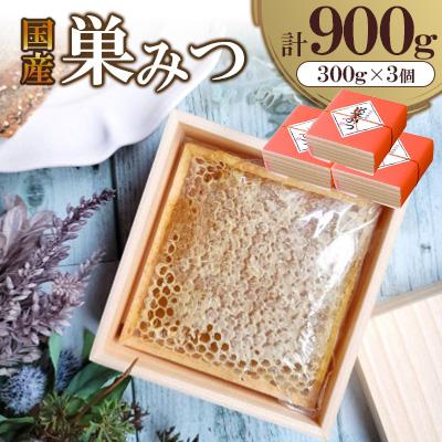 ふるさと納税 広川町 国産　巣みつ　900g(300g×3個)(広川町)