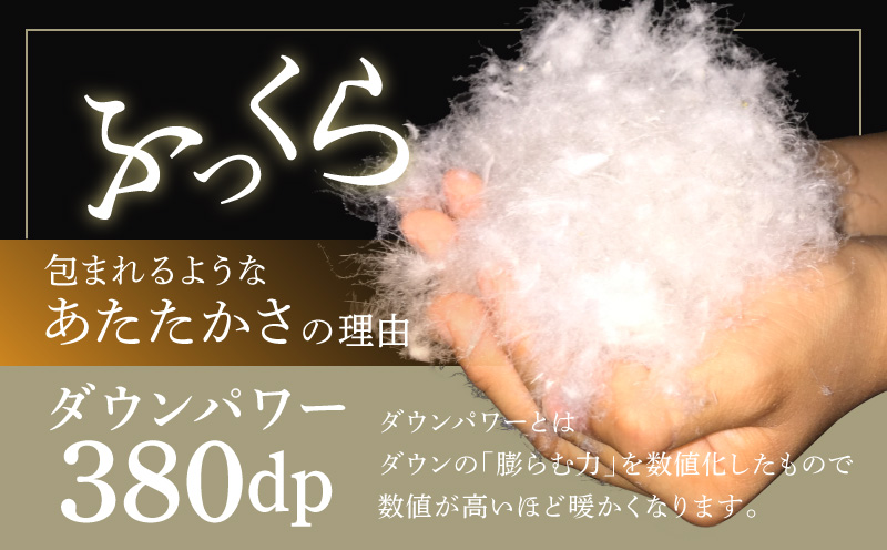 羽毛布団 1枚 ポーランド産グース贅沢仕様 シングル 150cm×210cm アイボリー【国産 羽毛 ふとん 寝具 掛け布団 羽毛ふとん】 099H3100