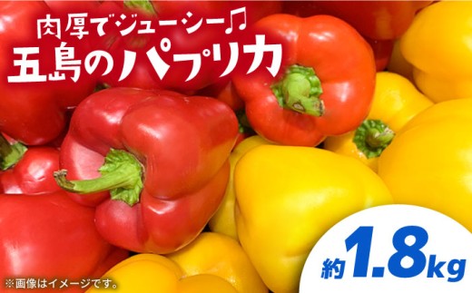 【肉厚パプリカ】五島のパプリカ約1,8kg 五島市/HPIファーム [PCP008] 野菜 やさい 国産 新鮮 緑黄色野菜 産地直送 とれたて