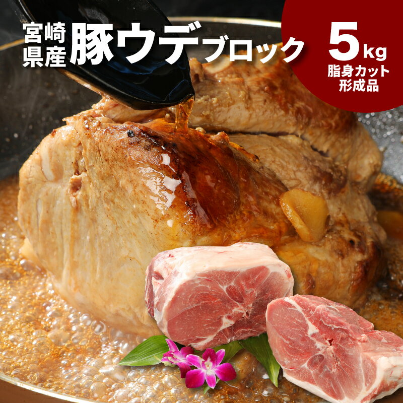 【ふるさと納税】宮崎県産豚ウデブロック5kg！脂身カット形成品【数量限定】 - 国産豚肉 豚ウデ肉 5キロ ブロック肉 かたまり肉 送料無料 【宮崎県木城町】