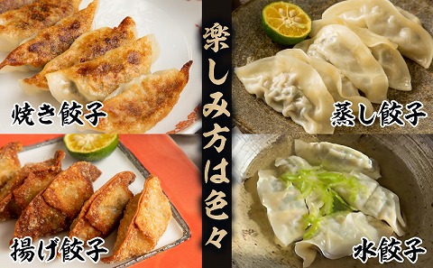 【定期便 偶数月 全6回お届け】金豚餃子セット（香港餃子・しそ餃子・にら餃子　1パック10個入×各2パック）_M166-T002-6