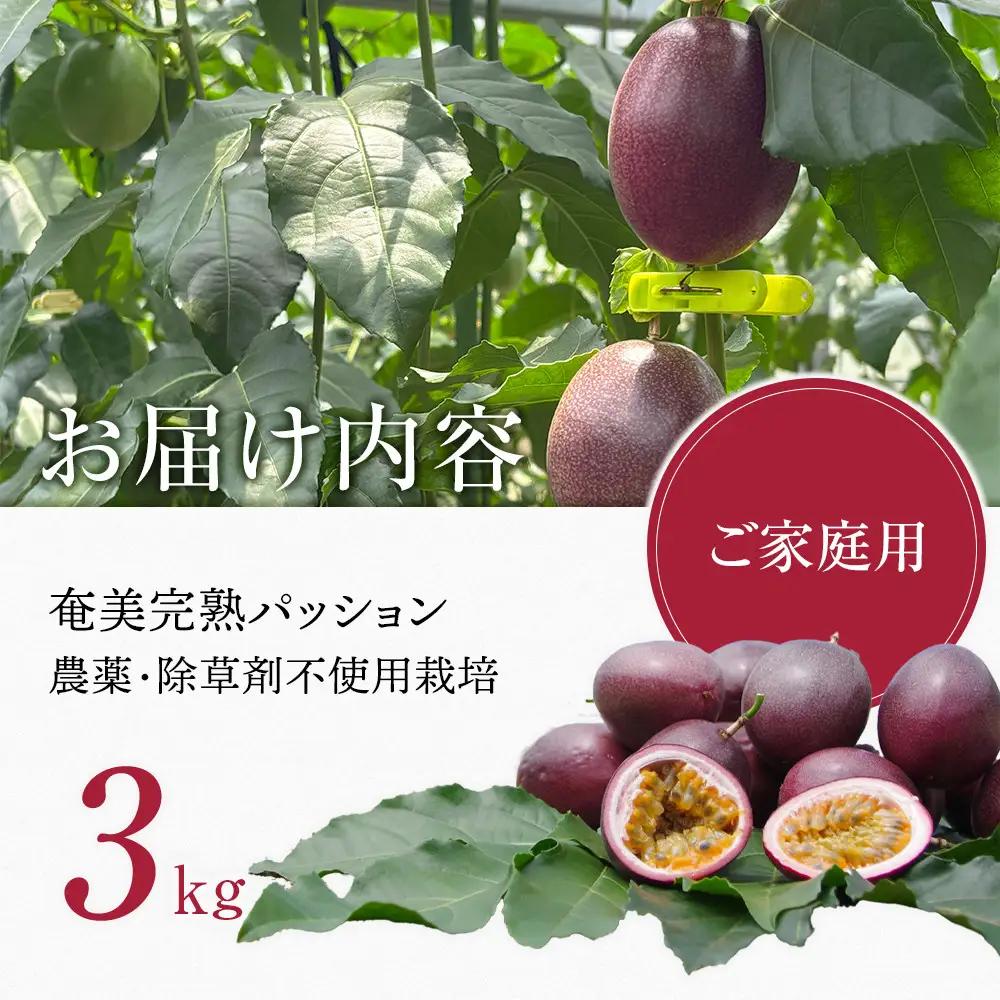 期間限定【農薬不使用】奄美大島 完熟パッションフルーツ3kg（農家直送）｜食品微生物　バイオスティミュラント　土壌フローラの改善　点滴潅水　皇室献上　送料無料　国産　無農薬