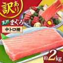 【ふるさと納税】【訳あり】天然 まぐろ 中トロ 約2kg【横須賀商工会議所 おもてなしギフト事務局（本まぐろ直売所）】天然まぐろ まぐろ マグロ 鮪 訳アリ 中とろ とろ トロ 大容量 たっぷり 冷凍 新鮮 刺身 さしみ [AKAK011]