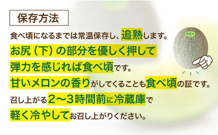 【先行予約】【6月中旬から順次発送】 タカミ メロン S〜Mサイズ 3〜4玉入り（1.5kg〜2.2kg/玉） 愛媛県大洲市/にのみや農園 めろん 貴味 果物 フルーツ くだもの 青肉 高級　[AGD