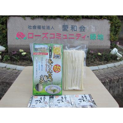 ふるさと納税 豊中市 つるっ!もちっ!あすなろ麺【無添加半生うどん・だし付】〜モンドセレクション金賞4回〜