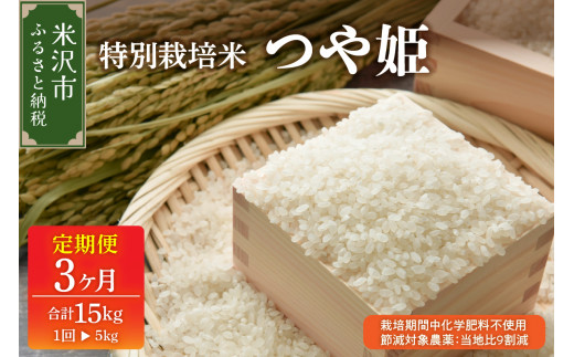 【先行予約】2027年4月配送開始 3ヶ月定期便 令和8年産  つや姫 5kg × 3回 計 15kg 特別栽培米 【栽培期間中化学肥料不使用・節減対象農薬：当地比9割減】