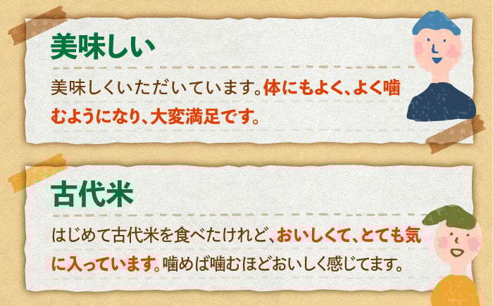 定期便 雑穀 雑穀米 古代米 発芽玄米 玄米 黒米 麦 ヒエ アワ 佐賀