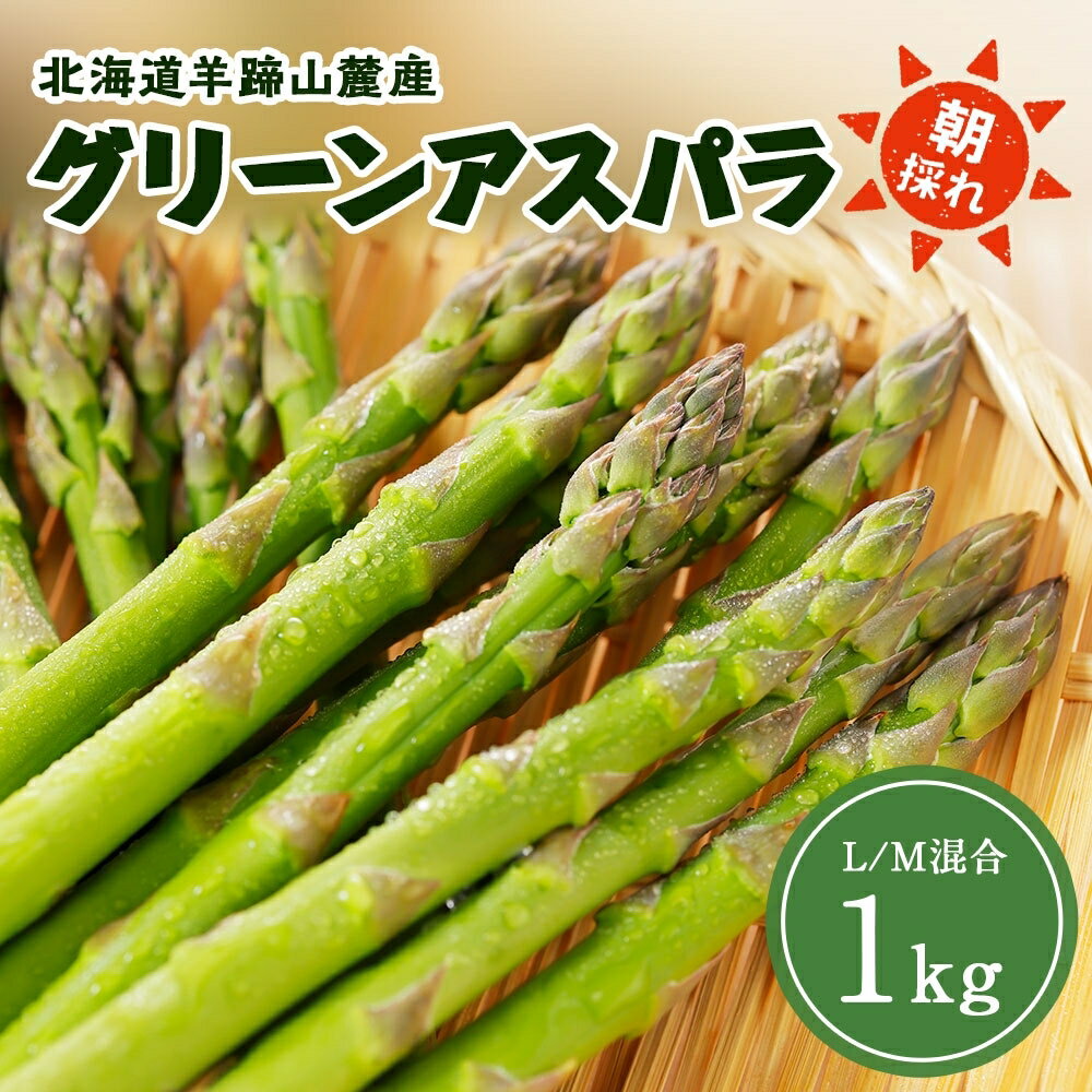 【ふるさと納税】北海道 グリーンアスパラガス 約1kg M-L サイズ混合 アスパラガス アスパラ 朝採れ 採れたて 新鮮 野菜 農作物 産直 国産 羊蹄山麓産 JAようてい 送料無料 北海道 倶知安町 1キロ 　お届け：2025年5月下旬～6月中旬頃まで