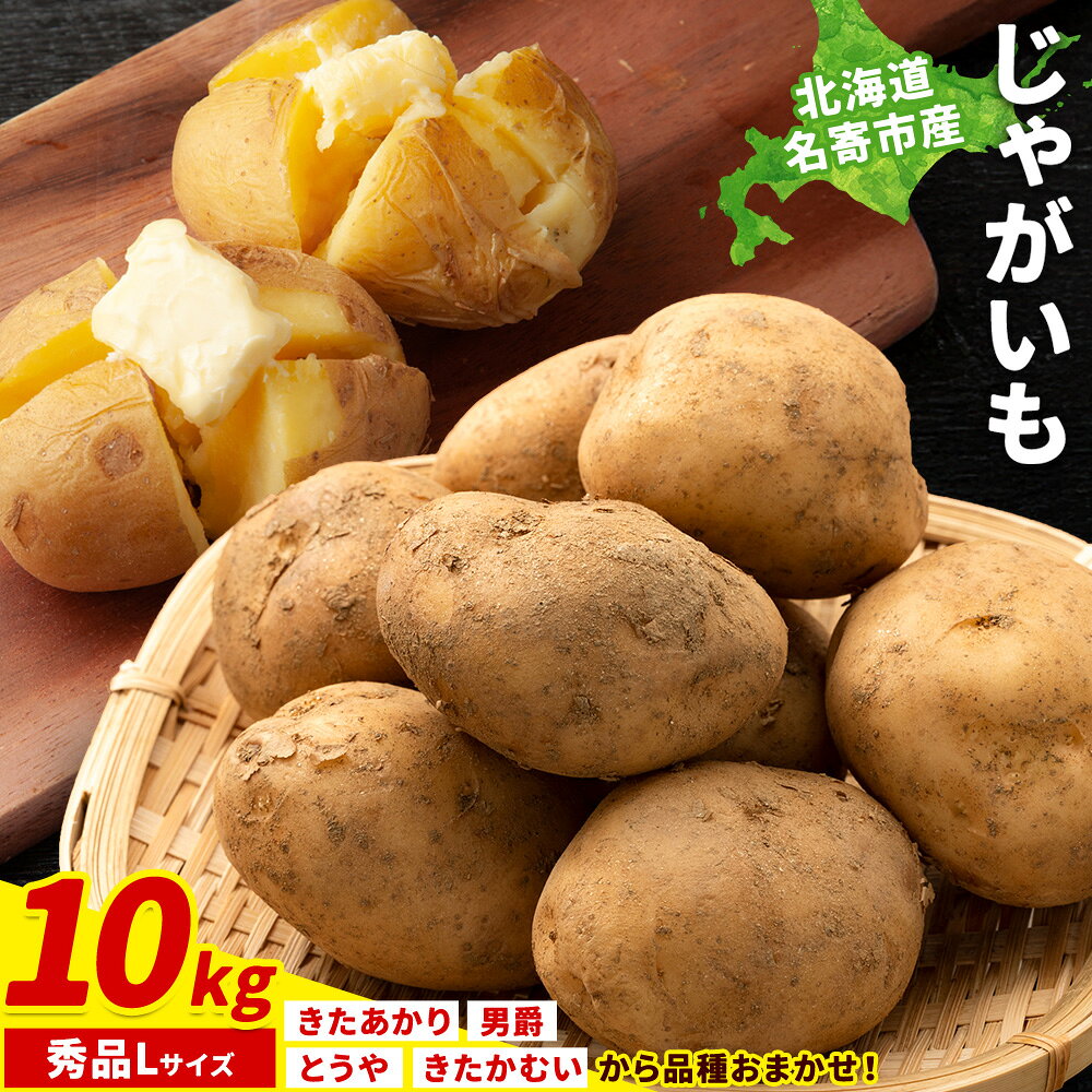 【ふるさと納税】じゃがいも 10kg Lサイズ 秀品 北海道 名寄市産 野菜 馬鈴薯 旬 産地直送 じゃがバター カレー コロッケ グラタン 煮物 ポテト サラダ お取り寄せ グルメ 大容量 まとめ買い 備蓄 保存食 生活応援 贈り物 送料無料 《2026年10月上旬-12月上旬出荷》