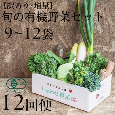 ふるさと納税 掛川市 【毎月定期便】しあわせ野菜畑のシェフLセット　(訳あり規格外の有機野菜を一部使用)全12回