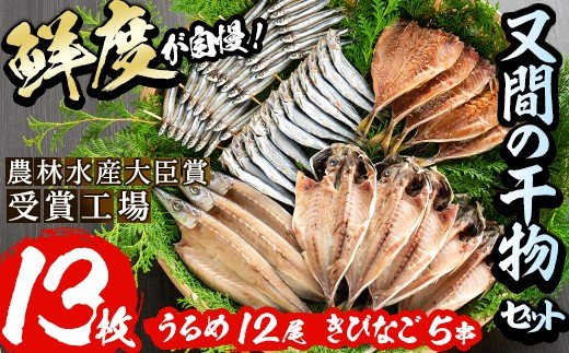 鹿児島県産！干物詰め合わせ(5種)国産 九州産 魚介 ひもの 干物 乾物 鯵 あじ かますな きびなご ウルメ セット 詰合せ【又間水産】a-12-9-z