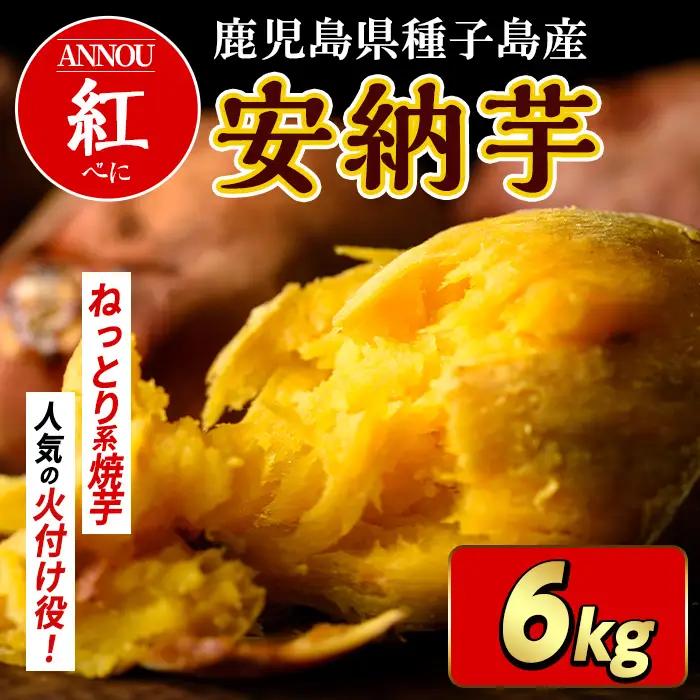 安納芋 さつまいも 紅 6kg 種子島産 【うずえ屋】n480