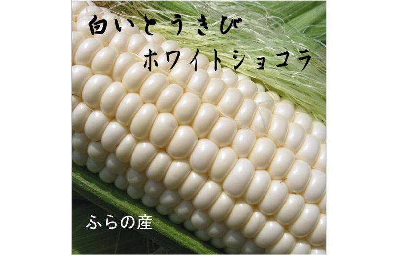 2026年夏発送【数量・期間限定】一足早く7月前半出荷予定 