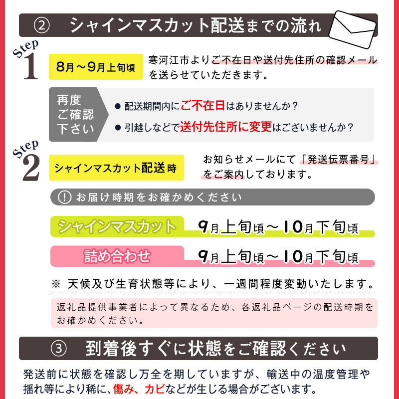 【満足の2～3房】こだわりのぶどう『シャインマスカット 1.2kg以上（2～3房）』 山形県産 【化学肥料 除草剤不使用】＜安全安心の栽培＞【2025年9月上旬頃～10月上旬頃発送予定】　016-B-