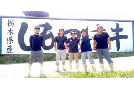【1/10より順次発送】「下野牛」ステーキ600g（200gx3枚）