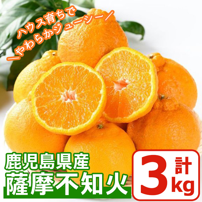 No.146 ＜先行予約受付中！2026年1月中旬～2月下旬までの間に発送＞《期間・数量限定》鹿児島県産！薩摩不知火(3kg) みかん 不知火 柑橘 フルーツ 果実 鹿児島 ギフト 贈答【黒川農園】