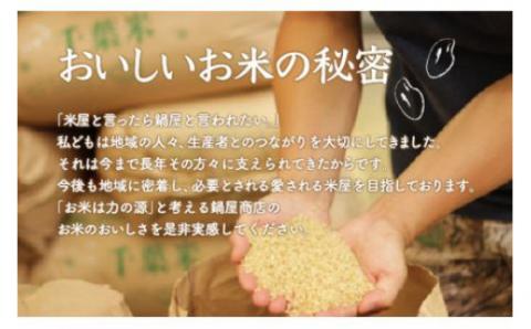 【新米】令和6年産 2年連続特A評価!千葉県産コシヒカリ15kg無洗米（5kg×3袋） E009