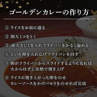 【辛さが選べる】クラブハウスのThe Curry 15袋セット 国産 レトルト 個包装 カレー 時短 日持ち 保存 贈り物 お中元 母の日 父の日 おすすめ 愛媛県 松山市