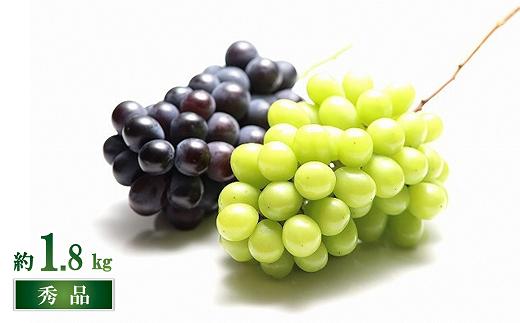 
            【令和8年産先行予約】 シャインマスカット ＆ 大粒ぶどう 計約1.8kg (2～4房 秀) 《令和8年9月下旬～11月中旬発送》 『フードシステムズ』 葡萄 ぶどう 果物 フルーツ デザート 山形県 南陽市 [1390]
          