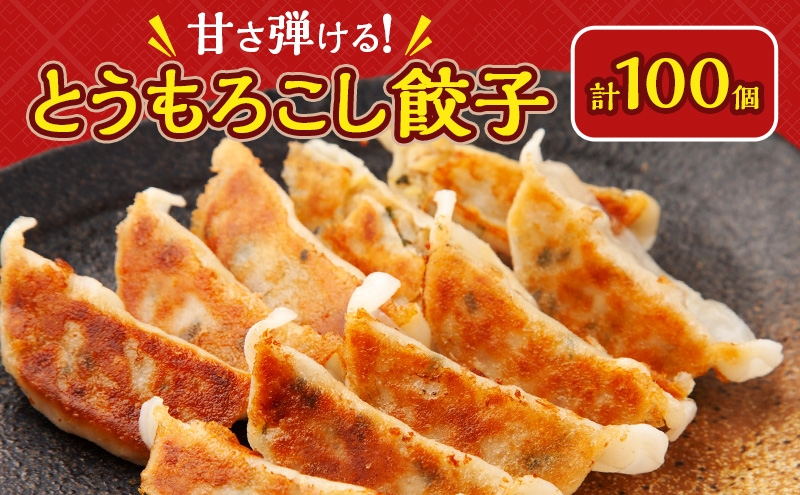 
                  いちりきのとうもろこし餃子　100個　食品 惣菜 餃子 ぎょうざ ギョーザ とうもろこし トウモロコシ おかず おつまみ 冷凍 いちりきのコロッケ 老舗 静岡県 森町
                