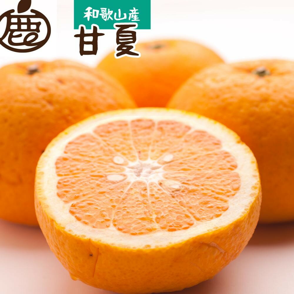 【ふるさと納税】【選べる容量】［先行予約］ 厳選 甘夏柑 2.5～10kg+250g（傷み補償分）［初夏のみかん・旬の果物］［有田産］［光センサー食べ頃出荷］ | フルーツ 果物 くだもの 食品 人気 おすすめ 送料無料 初夏のみかん 旬の果物 光センサー食べ頃出荷