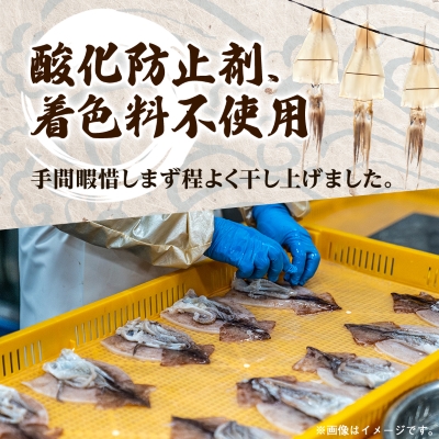 スルメイカの一夜干し5枚セット【配送不可地域：離島】