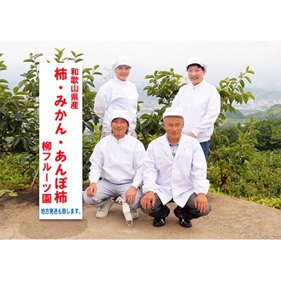 柿【先行受付】柳フルーツ園 富有柿 約5kg【配送不可地域：離島】