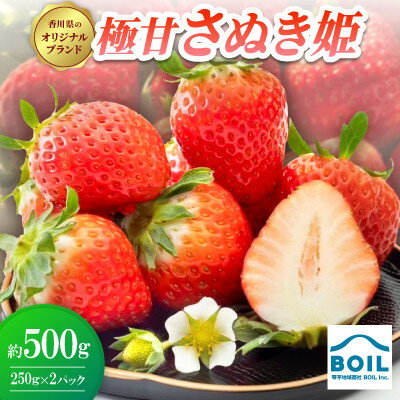 【ふるさと納税】極甘さぬき姫　約500g(250g×2パック)【配送不可地域：離島・北海道・沖縄県】【1678249】