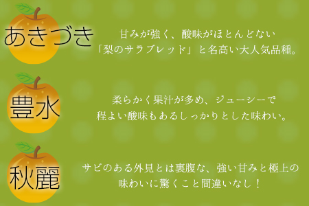 さかもと果樹園の玉東梨 約3kg (3玉-10玉前後)《8月中旬-9月末頃出荷》【日付指定・品種指定不可】 熊本県玉名郡玉東町 ｜ブランド梨 人気梨 特産品梨 熊本県梨 玉東町梨 大人気返礼品