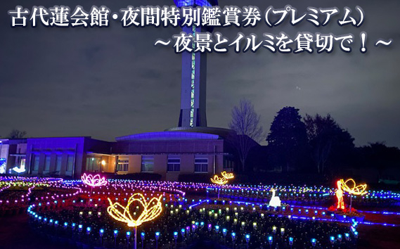 
No.339 古代蓮会館・夜間特別鑑賞券（プレミアム）～夜景とイルミを貸切で！～ ／ チケット クリスマス 見学 埼玉県

