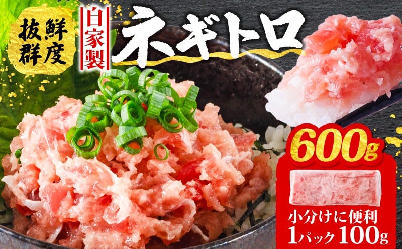 
            【発送時期が選べる】ネギトロ 600g ( 100g×6パック ) 冷凍 小分け 1人前 パック 自家製 鮪 まぐろ マグロ ねぎトロ 赤身 小分け マグロタタキ ねぎとろ 寿司 ネギトロ丼 愛媛県 松山市 5000円前後 ( 冷凍ねぎとろ 冷凍ネギトロ 自家製ネギトロ 自家製ねぎとろ 鮪 松山のねぎとろ 松山のねぎトロ 人気ねぎとろ 鮪 寿司 ネギトロ丼 ねぎとろ寿司 人気ネギトロ ) 人気
          