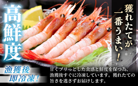 もちえび（甘えび）1kg（500g × 2袋）【甘海老 あまえび アマエビ えび 海老 有頭 刺身 生食 海鮮 海産物 魚貝類 魚介類 新鮮 冷凍 三国】 [A-1614]