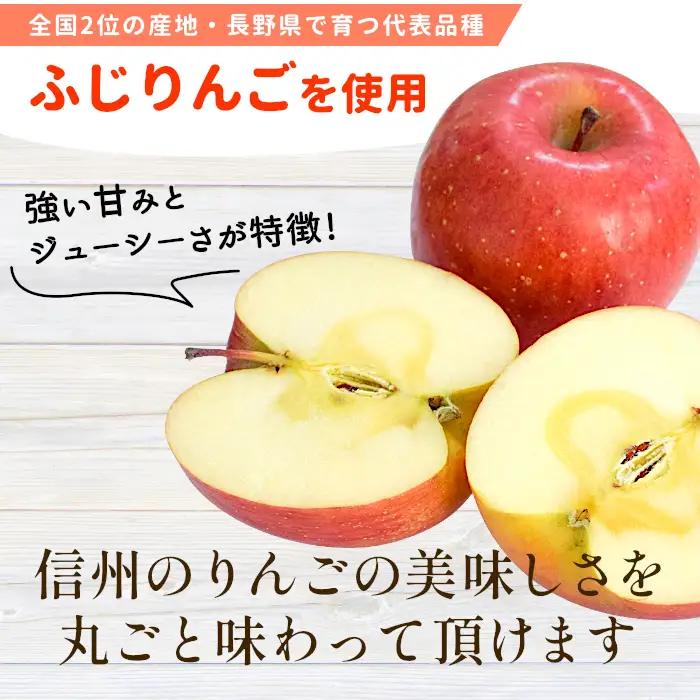〈1週間以内発送〉ふじりんごを丸ごと使用★信州りんごアイス 7個 マーブルアイス アイスクリーム アイス りんご ふじりんご りんごソース  根羽村 ネバーランド 6000円