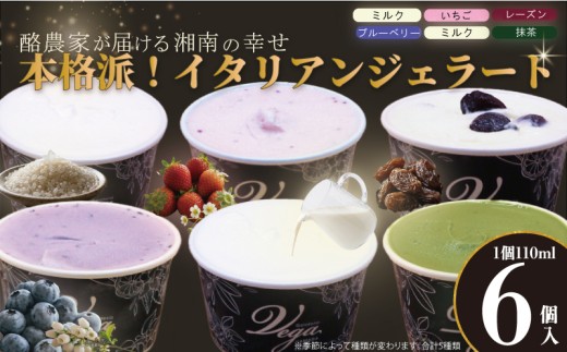 イタリアンジェラート 110ml 6個入 牧場直営 おまかせ セット 牧場 牛 湘南 野菜 フルーツ 果物 米 リゾ 夏 アイス ジェラート 涼しい 美味しい おすすめ 人気 贈答 ギフト プレゼント おやつ 子ども 冷凍 ミルク 本格 イタリアンジェラート 牛乳 ジェラテリアベガ 浜田牧場 神奈川県 平塚市