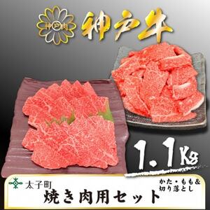 神戸牛　TSY3　焼肉用・焼肉用(切り落とし)セット　合計1100g【配送不可地域：離島】【1509925】