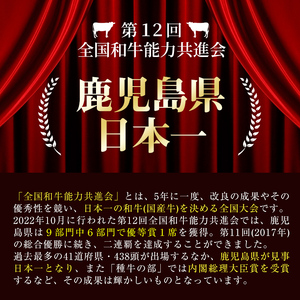 【定期便・全6回】鹿児島県産黒豚・黒毛和牛満喫コース！ 総量4.5kg超!  牛肉 豚肉 鹿児島県産 九州産 国産 黒毛和牛 ステーキ すきやき しゃぶしゃぶ 焼肉 BBQ ウインナー ソーセージ ハ