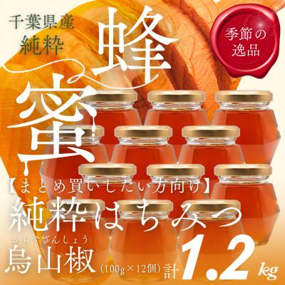 ふるさと納税 大網白里市 千葉県産「純粋はちみつ」からすざんしょう【計1.2kg】100g×12個