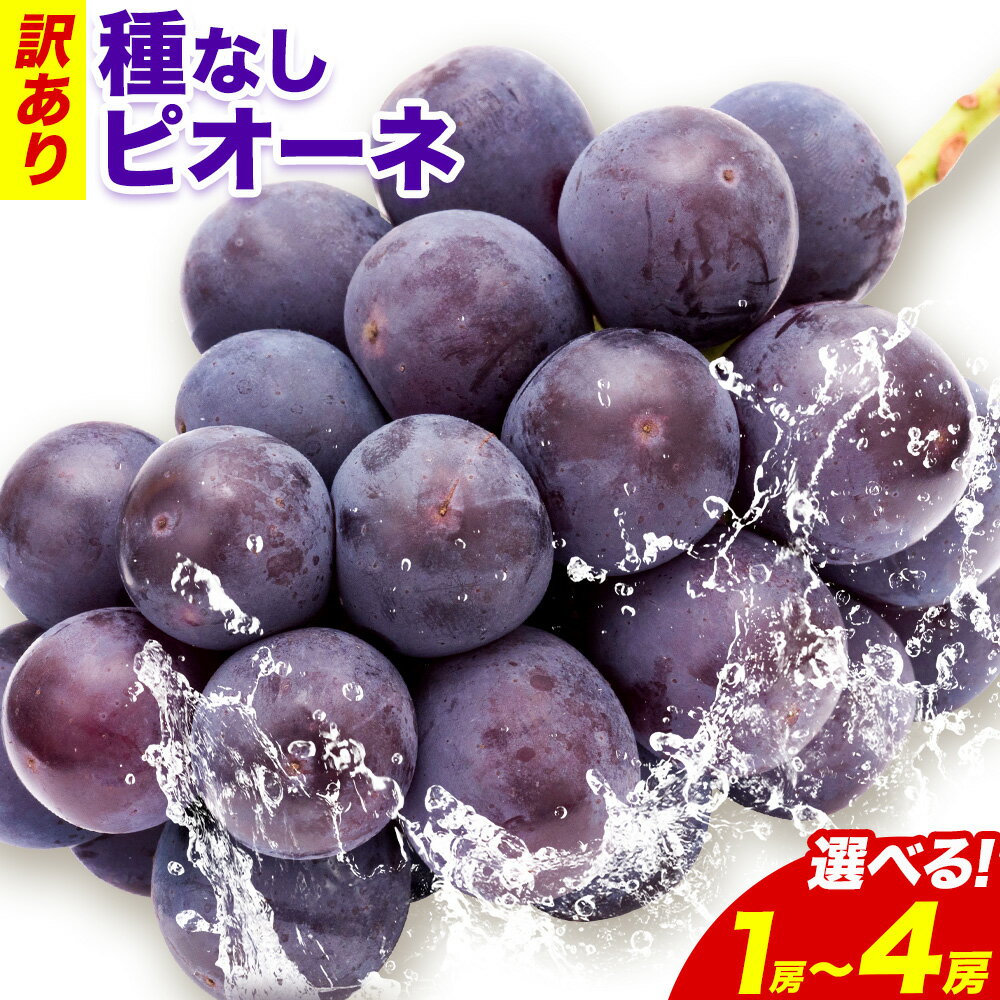 【ふるさと納税】訳あり ピオーネ 岡山県産 選べる 約600g 1房 計1.2kg 2房 計2.4kg 4房《9月中旬-11月上旬頃出荷》岡山県 備前市 くだもの 果物 フルーツ ぶどう スイーツ 葡萄 ご家庭用 ニューピオーネ 種なし
