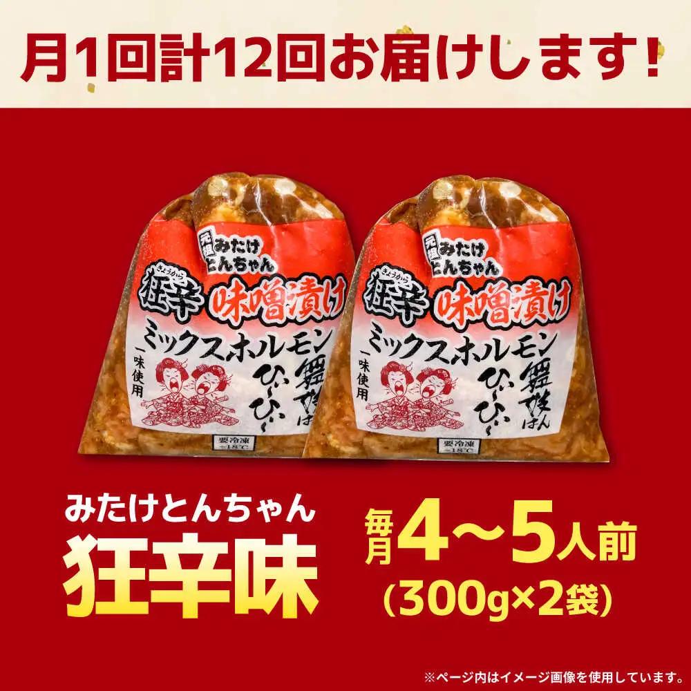 【12回定期便】 「元祖みたけとんちゃん」 狂辛 味噌漬け ミックスホルモン 2袋 [AVAA066]つまみ 定期