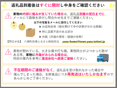 Y478 【訳あり】甘太梨 3kg