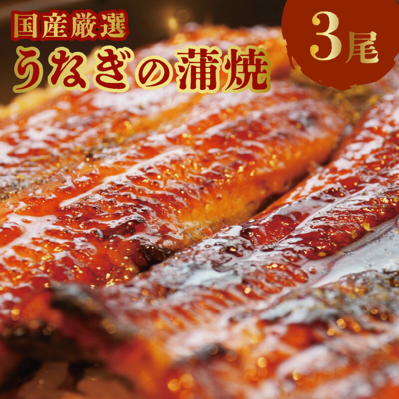 【ふるさと納税】国産 厳選 うなぎ 蒲焼 約 250g × 3尾 たれ付 甘辛たれ そう馬 簡単調理 グルメ 食品 加工品 魚 魚介類 おかず 惣菜 ご飯のお供 酒の肴 うな丼 ひつまぶし お茶漬け 鰻巻き 冷凍 福岡県 久留米市 お取り寄せ お取り寄せグルメ 送料無料